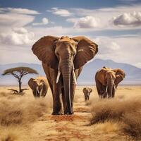 Foto elefanter i amboseli nationell parkera kenya afrika