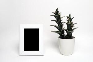tömma Foto ram Nästa till en blomma pott på en vit bakgrund