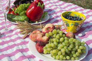 skön picknick med frukter, grönsaker och glasögon av vin nära sjö. foto