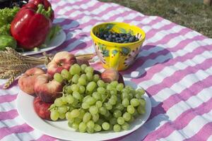 skön picknick med frukter, grönsaker och glasögon av vin nära sjö. foto