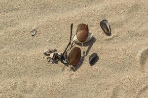 solglasögon och snäckskal på de sand foto