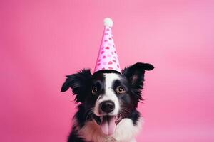 firande, Lycklig födelsedag, ny år eve fest, rolig djur- hälsning kort - söt hund sällskapsdjur med rosa fest hatt på rosa vägg bakgrund textur foto