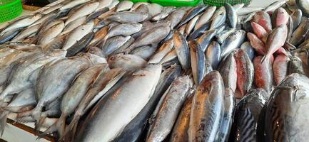 färsk rå fisk försäljning på traditionell marknadsföra. fisk vibrerande Färg bakgrund foto