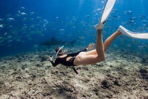 kvinna dyk till de tiger haj i blå hav i de maldiverna. foto