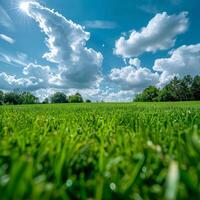 gräs- fält under blå himmel med moln foto