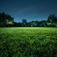 gräs- fält på natt med träd foto