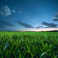 gräsbevuxen fält med himmel bakgrund foto