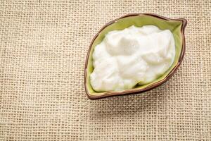 vanilj grekisk yoghurt skål foto