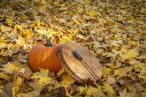 inföding amerikan stil trumma med pumpa på en bakgård gräsmatta täckt förbi gyllene lönn löv, falla landskap foto
