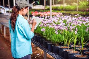 unga kvinnor som arbetar i blomsterträdgården studerar och skriver register över blomträdens förändringar. blomma trädgård bakgrund foto