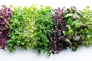 friska bio organisk annorlunda microgreen på de vit bakgrund. natur bebis superfood livsstil begrepp. foto