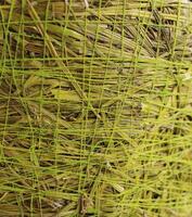 korg, gräs och tråd textur på sida del av vävd korg stock Foto för bakgrunder