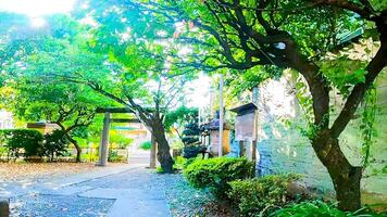 en små parkera Nästa till shusse inari helgedom i yocho-cho, shinjuku-ku, tokyo, japan. foto