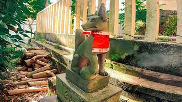 komakitsune på inari helgedom kitamukai inari helgedom på sarue shrine.sarue helgedom, sarue helgedom, koto avdelning, tokyo, japan foto