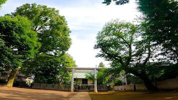 helgedom toriien stående i en ledig massa kamimachi tenso helgedom,, en helgedom i setagaya, tokyo, japan intilliggande till en parkera, den är belägen i de tillbaka av en rena Plats. foto