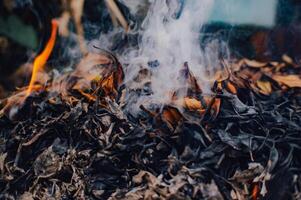 löv bränt i en skräp förbränningsugn foto