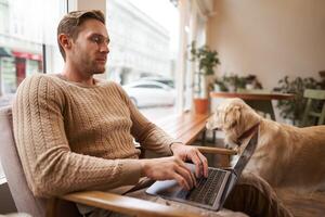 stilig ung man arbetssätt i Kafé med en hund, Sammanträde på stol och använder sig av bärbar dator, petting hans gyllene retriever i djurvänligt sam-arbetande Plats foto