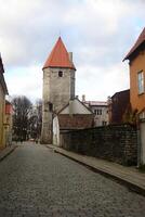 historisk hus på kullerstensbelagda gata i gammal stad. de medeltida arkitektur av små gångväg i tömma gator och gränder. detalj av byggnader i smal körfält. Tallinn, estland foto