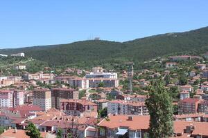 fåglar öga se av yozgat stad. yozgat provins, Kalkon foto