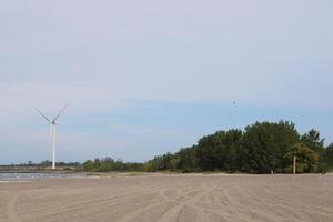 vedgräs strand stat parkera på sjö erie i buffel ny york foto