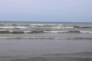 vedgräs strand stat parkera på sjö erie i buffel ny york foto