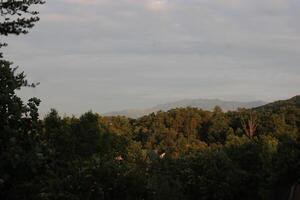 berg landskap runt om gatlinburg tennessee foto