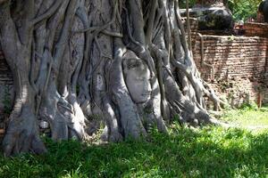 wat mahathat gammal på historisk parkera på ayutthaya historisk parkera, phra nakhon si ayutthaya provins, thailand foto
