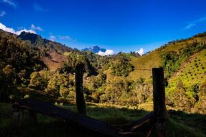 de Fantastisk landskap av de central intervall på de uppstigning till de hög av brev mellan de städer av fresno och manizales i colombia foto