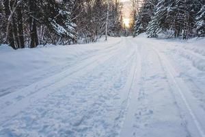 skoterväg i den vilda naturen foto