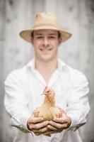 bonde som håller en beige kyckling foto