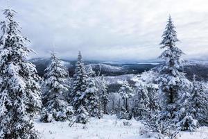 vinterlandskap från toppen av berget i Kanada, Quebec foto