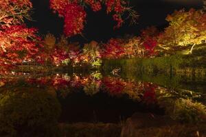 ett upplyst röd löv reflekterande på de vatten på de traditionell trädgård foto