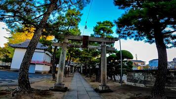 hogima hikawa helgedom är en helgedom i nishi-hogima, adachi-ku, tokyo, japan. fastän de datum av konstruktion är inte känd, den är beräknad till vara innan de keicho epok ,runt 1596 foto