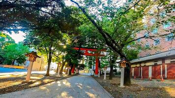 shinjuku, tokyo, japan. hanazono helgedom, en helgedom stående i de mitten av de stad. den existerade i 1590, de år tokugawa ieyasu gick in i tokyo foto