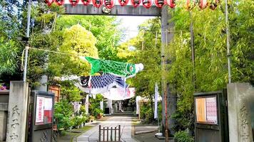 koi noboris, karp streamers visas på en helgedom i de färsk grön. är en japansk beställnings, till visa karpformad banderoller i de trädgård till önskar för de friska tillväxt av Pojkar på drake båt festival. foto