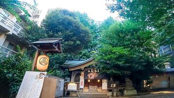 inari kio helgedom, en helgedom i kabukicho, shinjuku-ku, tokyo de endast helgedom i japan den där stadgar de demon kung gongen. eftersom de edo period, tofu har varit sa till ha särskild effekter på eksem foto