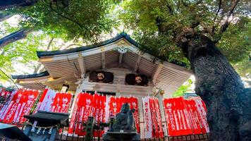 toyokawa inari tokyo gren tempel, belägen i motoakasaka, minato-ku, tokyo, japan den har sitt ursprung från de tid när ooka echizen Nej kami tadada efterfrågade dakiniten från toyokawa inari och inskriven foto