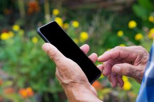 närbild av rynkig händer senior man innehav en smartphone i de trädgård. Plats för text. begrepp av åldrig människor och teknologi foto