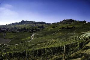 vingårdar i den piemontesiska langhe på hösten under druvskörden foto