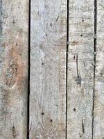 närbild av trä- staket med naglar foto