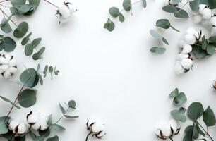bomull och eukalyptus löv på vit bakgrund foto