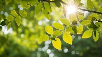 ai genererad löv med morgon- solljus filtrering genom. generativ ai foto