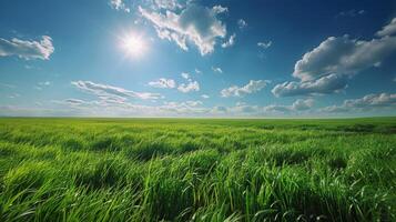 ai genererad grön gräs fält under blå himmel foto