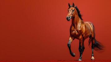 ai genererad brun häst stående på röd fält foto