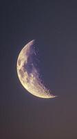 ai genererad halv måne belysande de natt himmel foto