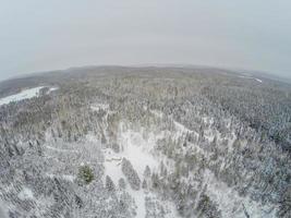 Flygfoto över skogen och den lilla kanadensiska timmerkojan under vintern. foto
