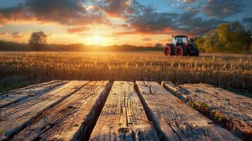 traktor parkerad i fält på solnedgång foto