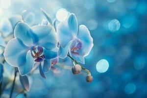 ai genererad en delikat gren av blå orkidéer mot en mjuk, blå och vit bakgrund, fångande de skönhet av tropisk flora foto