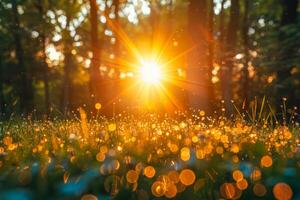 ai genererad de tidigt morgon- Sol genomträngande genom en skog, gjutning en gyllene glöd på daggbelagd gräs och skapande en bokeh effekt foto