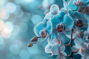 ai genererad en delikat gren av blå orkidéer mot en mjuk, blå och vit bakgrund, fångande de skönhet av tropisk flora foto